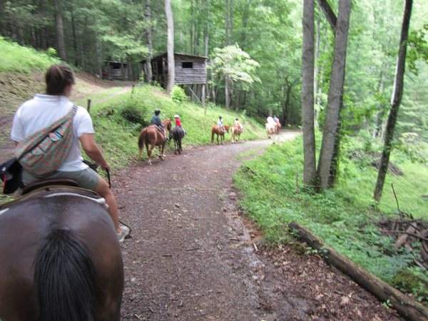 Forest Trail  Passing Camping Cabins